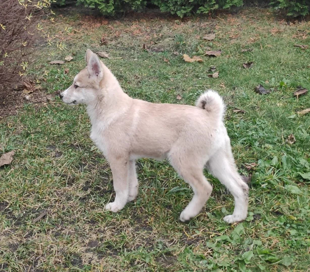 carousel-image-mobile-1