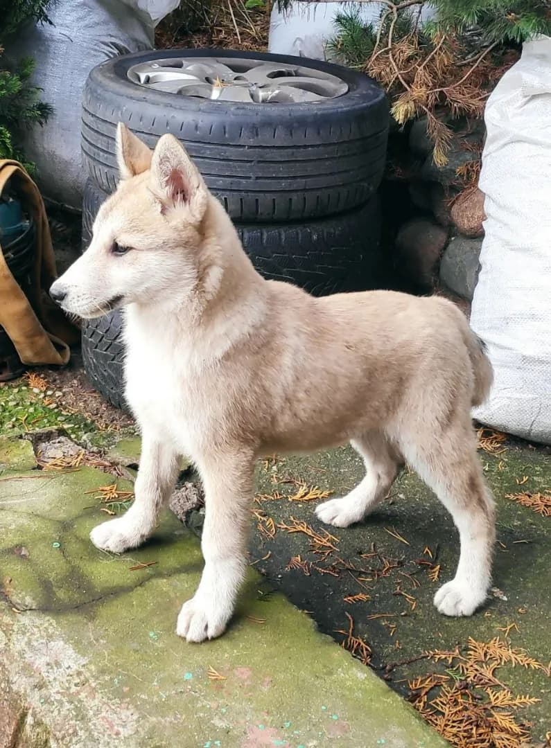 carousel-image-mobile-2