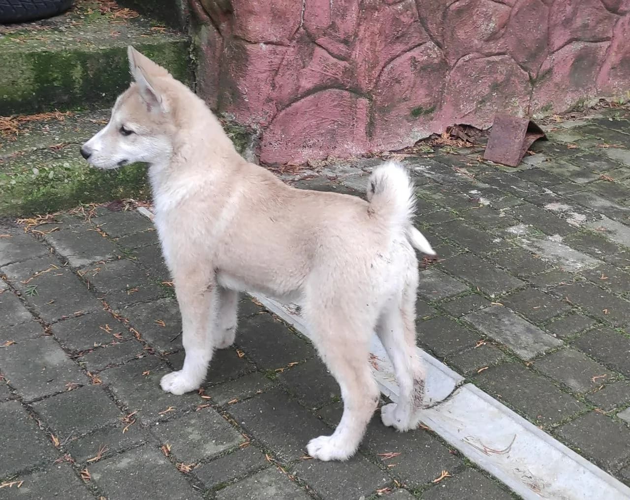 carousel-image-mobile-3