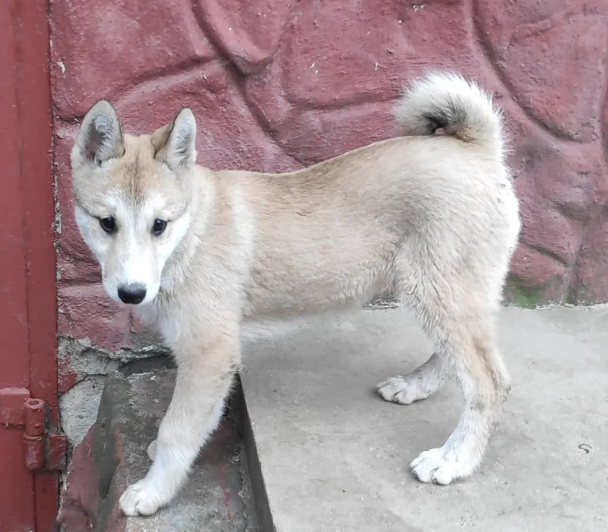 carousel-image-mobile-4