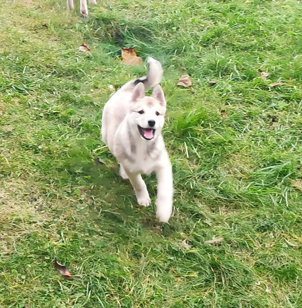 carousel-image-mobile-5