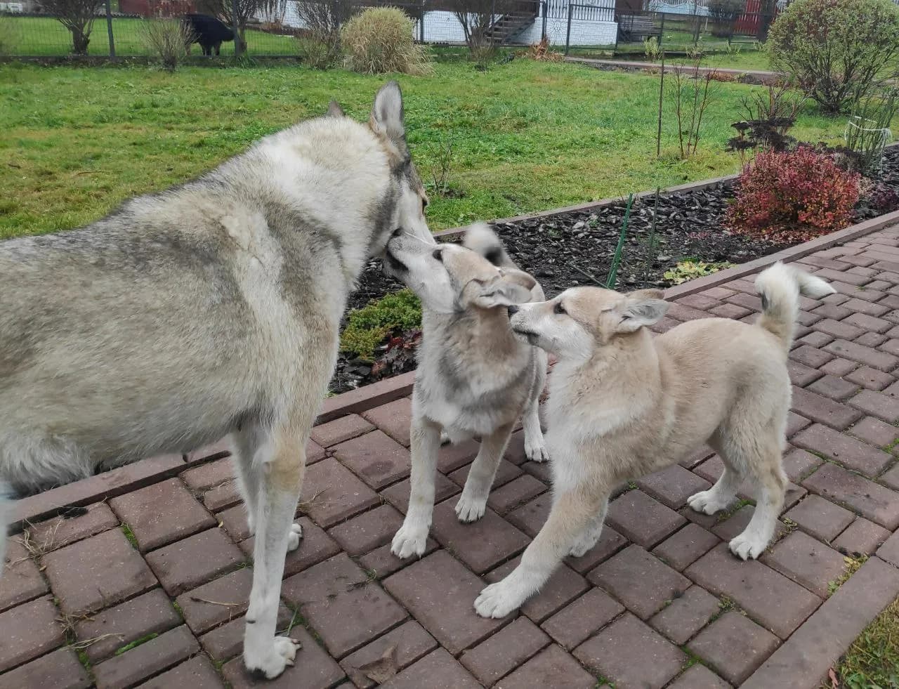 carousel-image-mobile-6