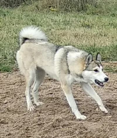 carousel-image-mobile-7