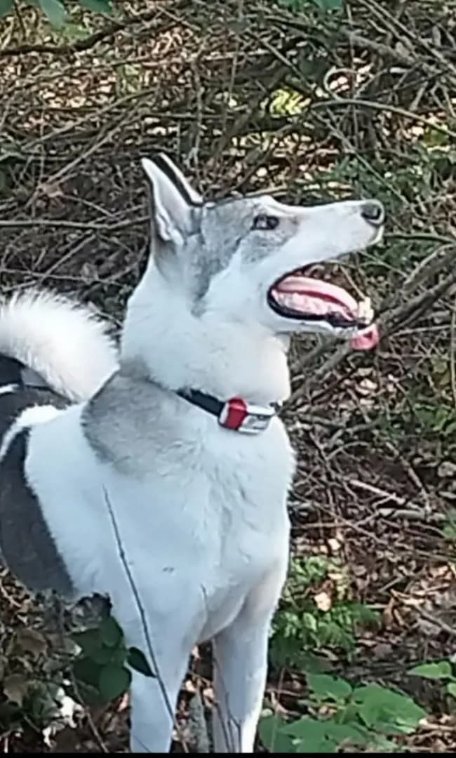 carousel-image-mobile-8