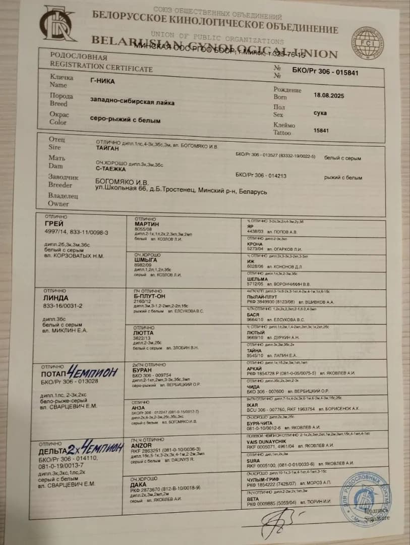 carousel-image-mobile-9