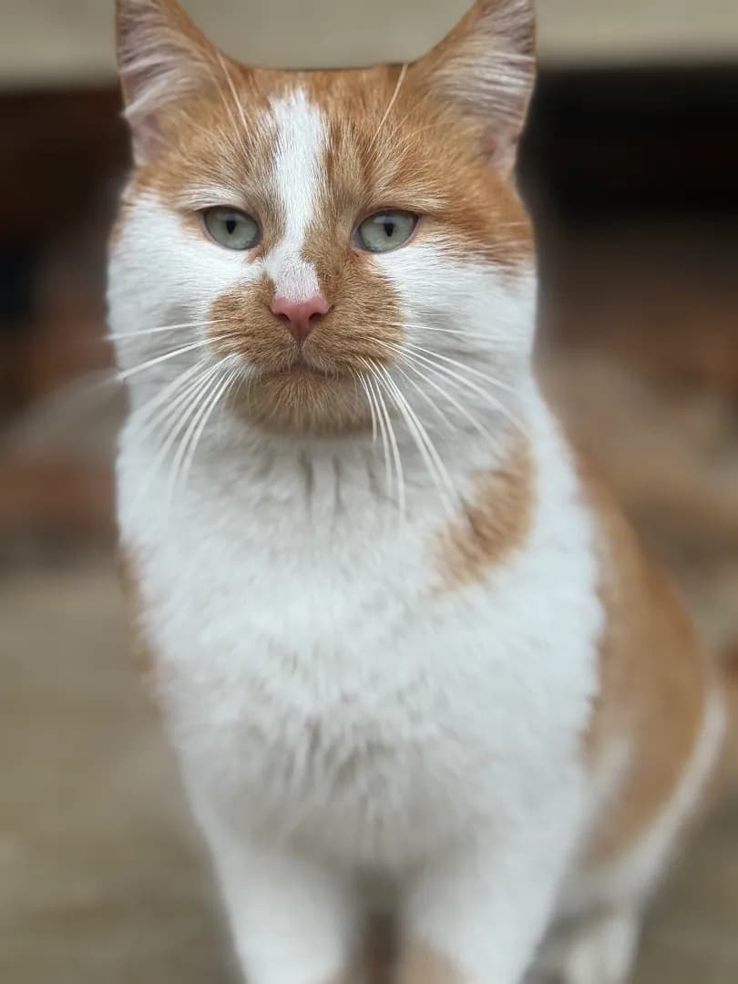 carousel-image-mobile-0