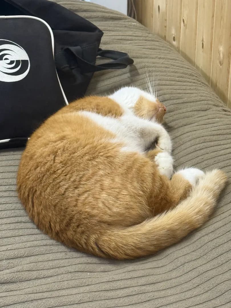 carousel-image-mobile-1