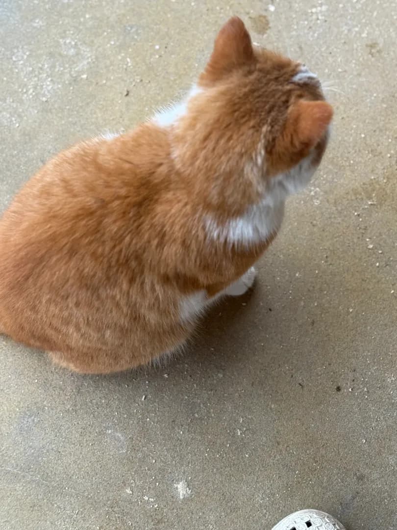 carousel-image-mobile-2