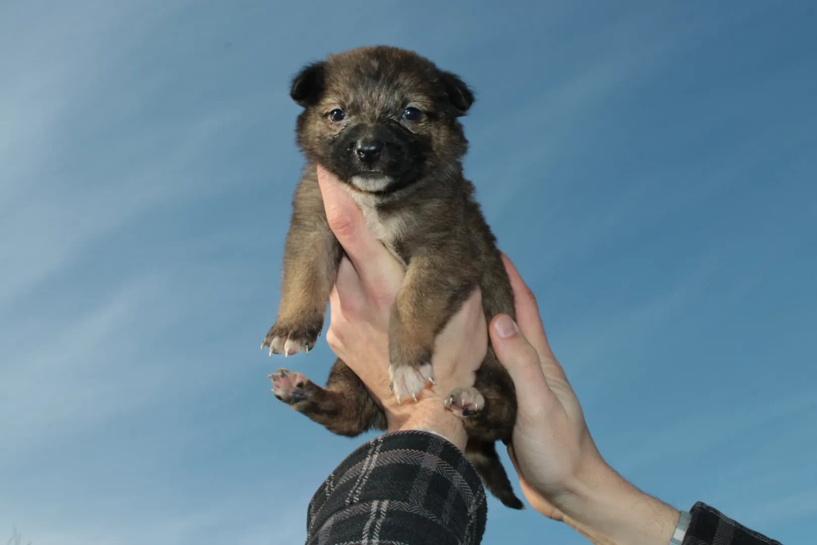 carousel-image-mobile-0