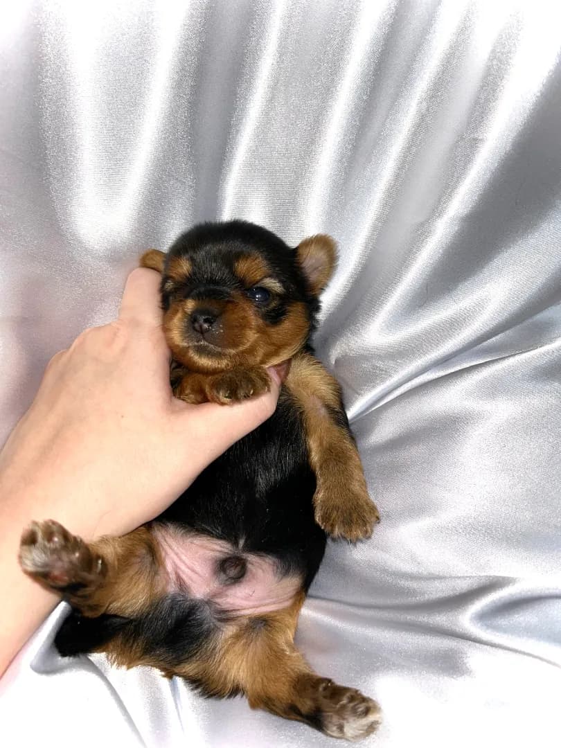 carousel-image-mobile-0