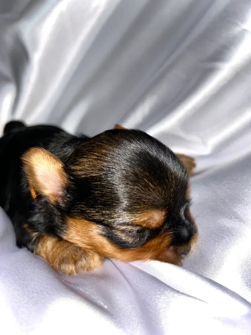 carousel-image-mobile-3