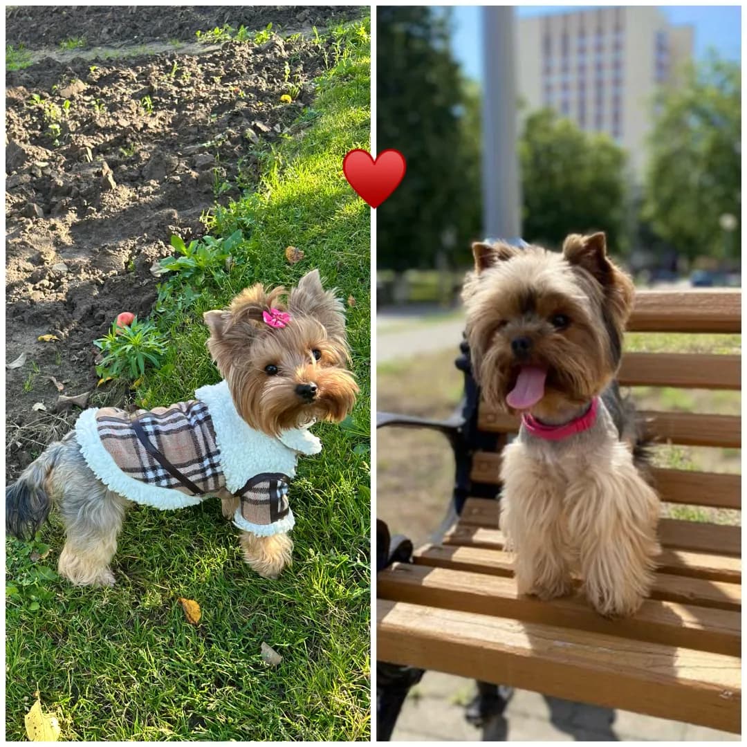 carousel-image-mobile-4