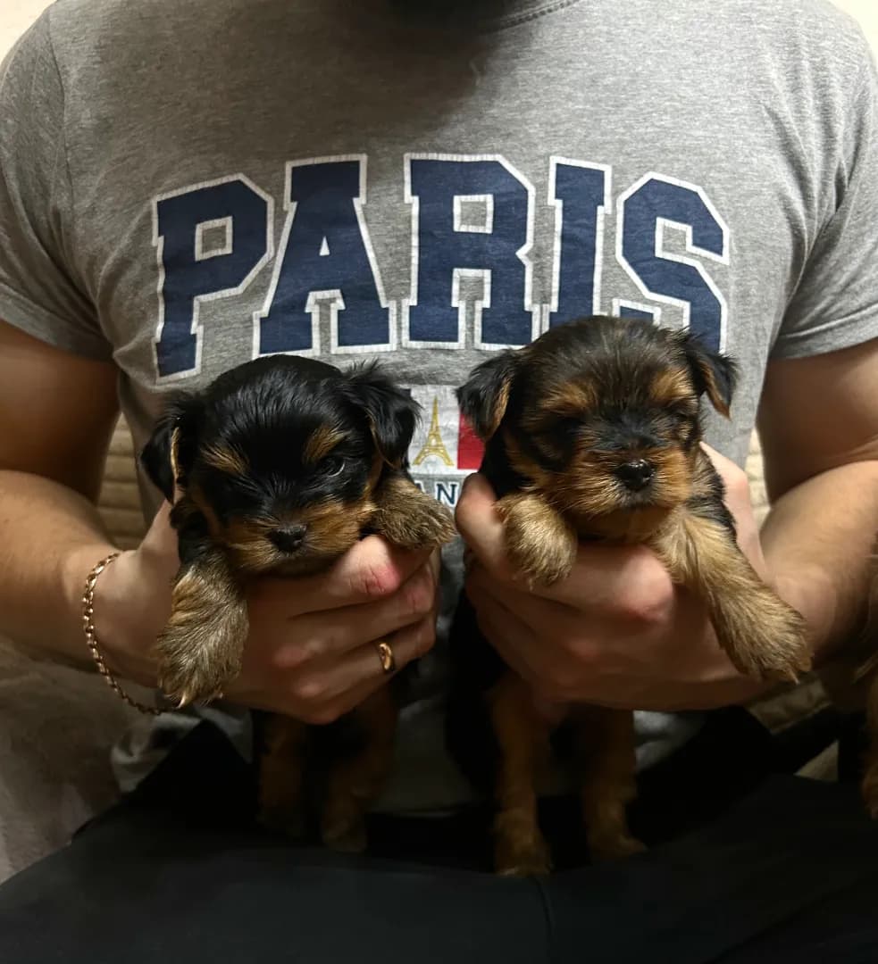 carousel-image-mobile-1