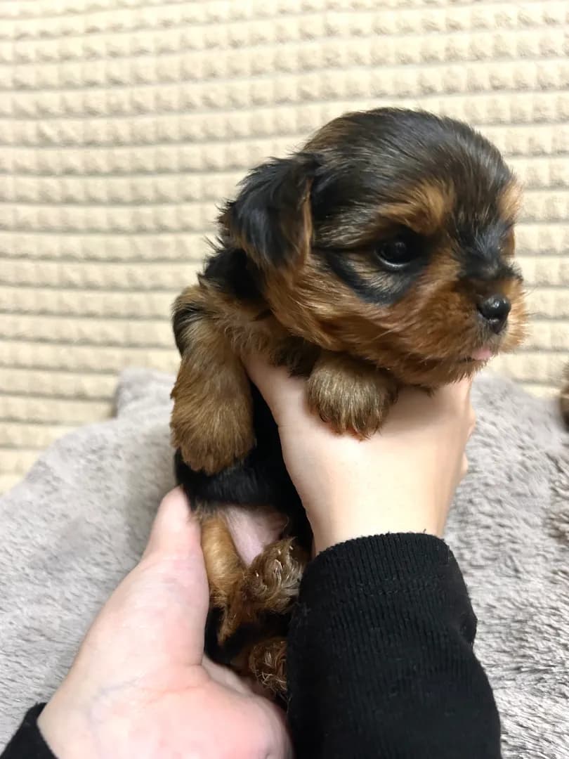 carousel-image-mobile-3