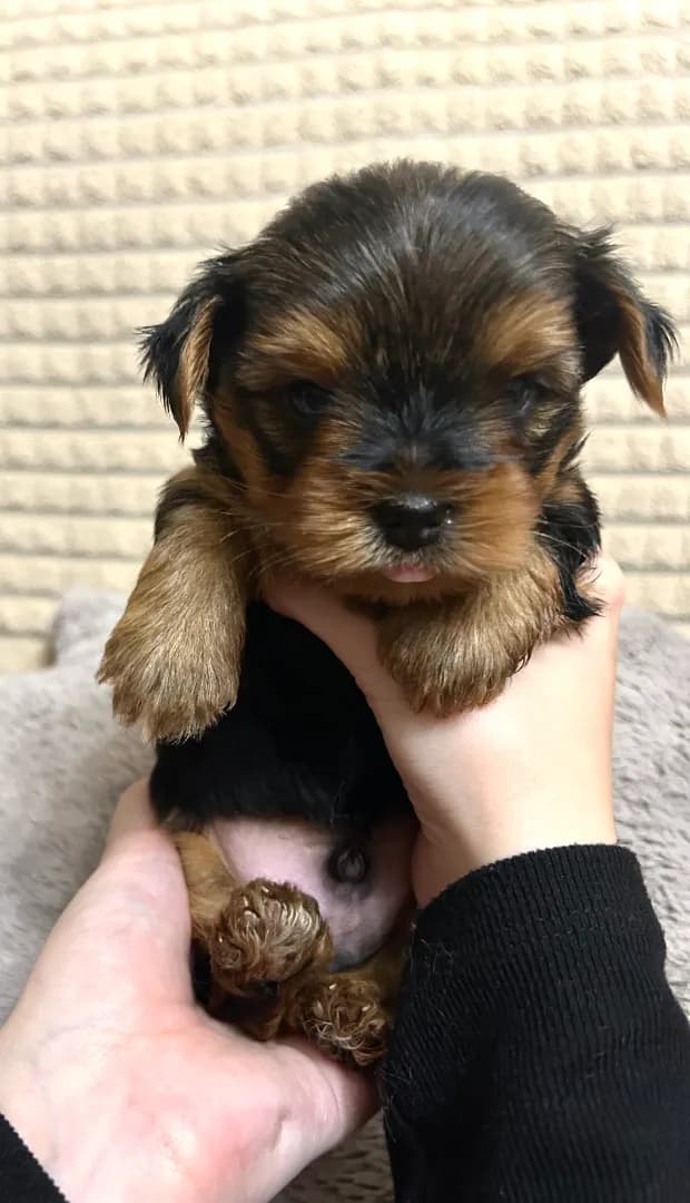 carousel-image-mobile-4