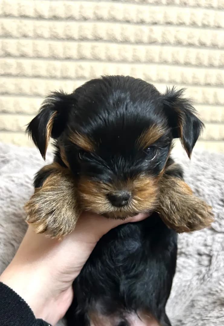 carousel-image-mobile-5