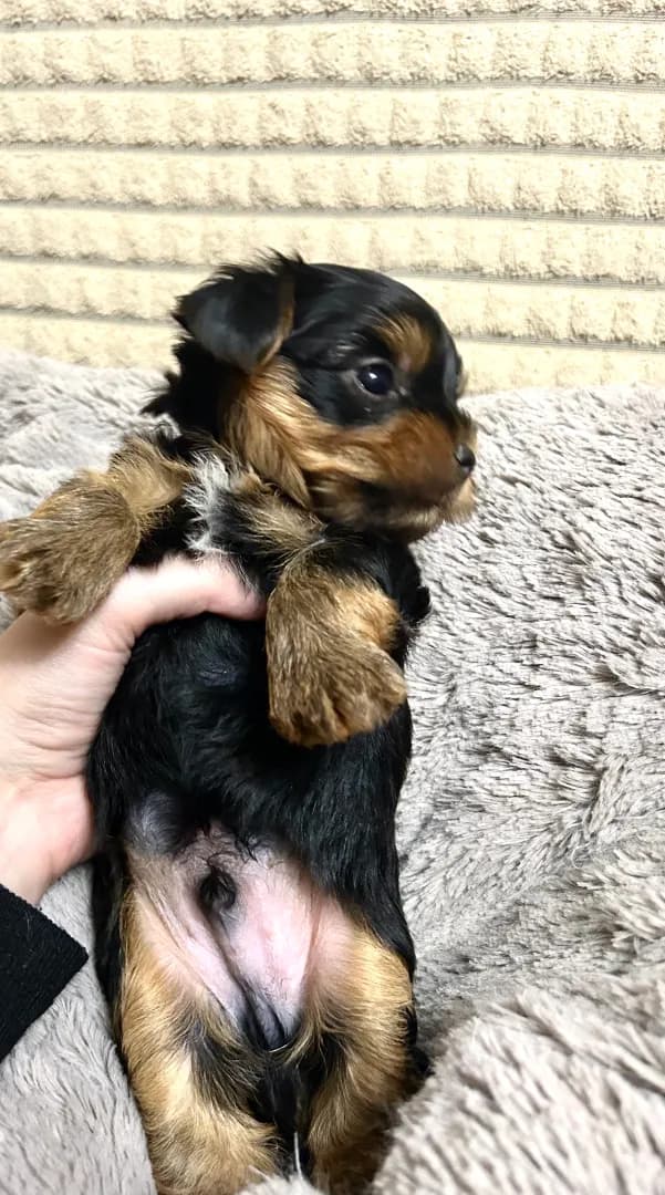 carousel-image-mobile-6