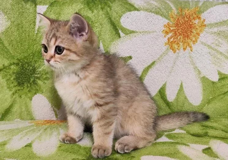 carousel-image-mobile-1