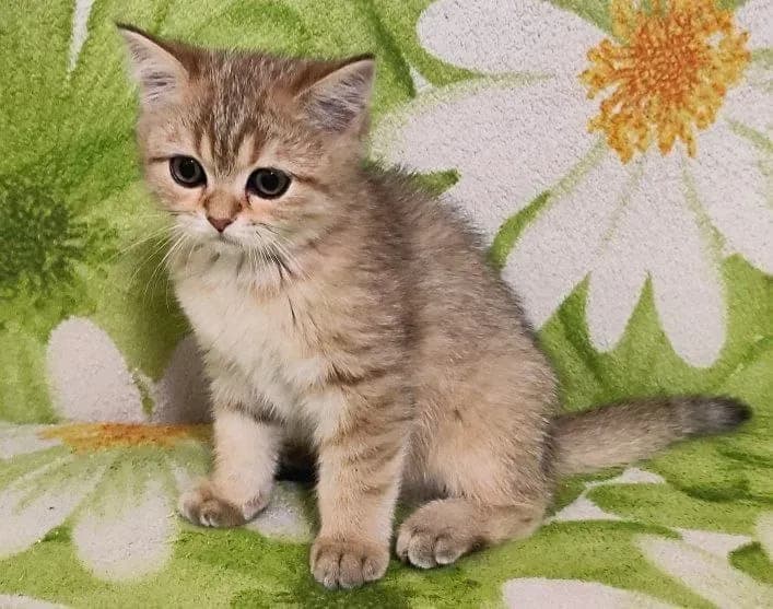 carousel-image-mobile-2