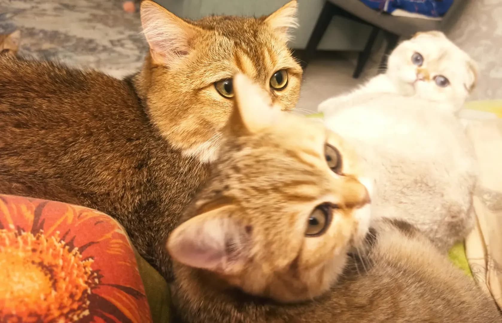 carousel-image-mobile-4