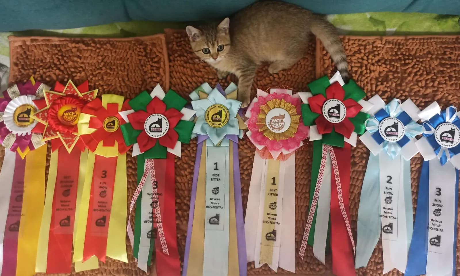 carousel-image-mobile-5