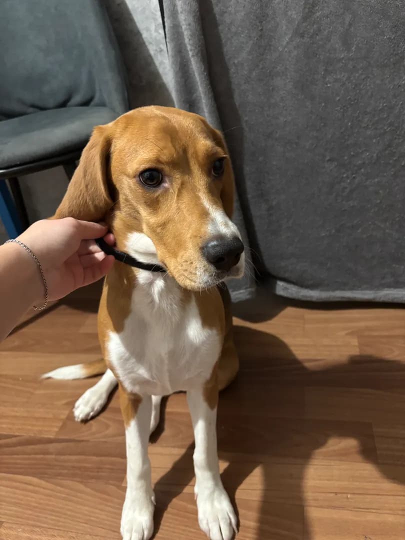 carousel-image-mobile-0