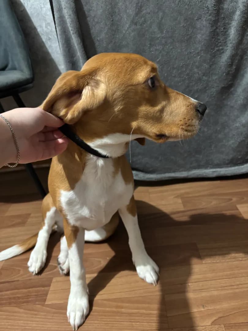 carousel-image-mobile-1