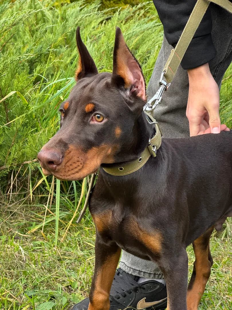 carousel-image-mobile-0