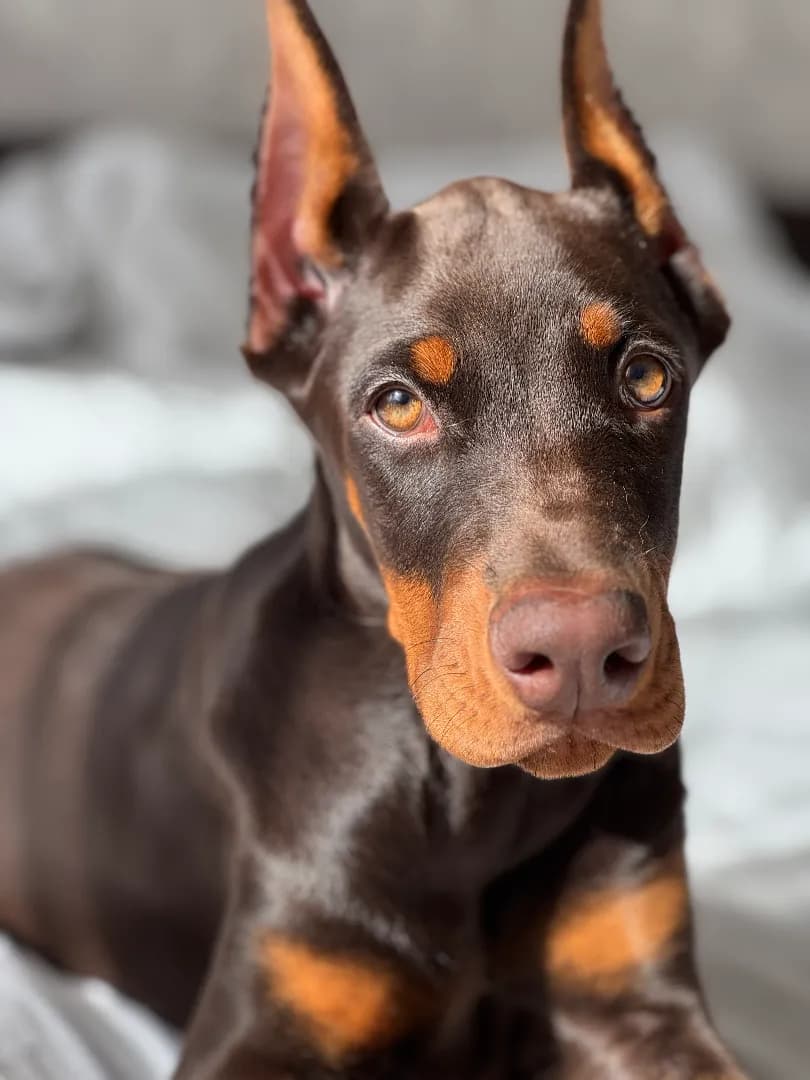 carousel-image-mobile-1