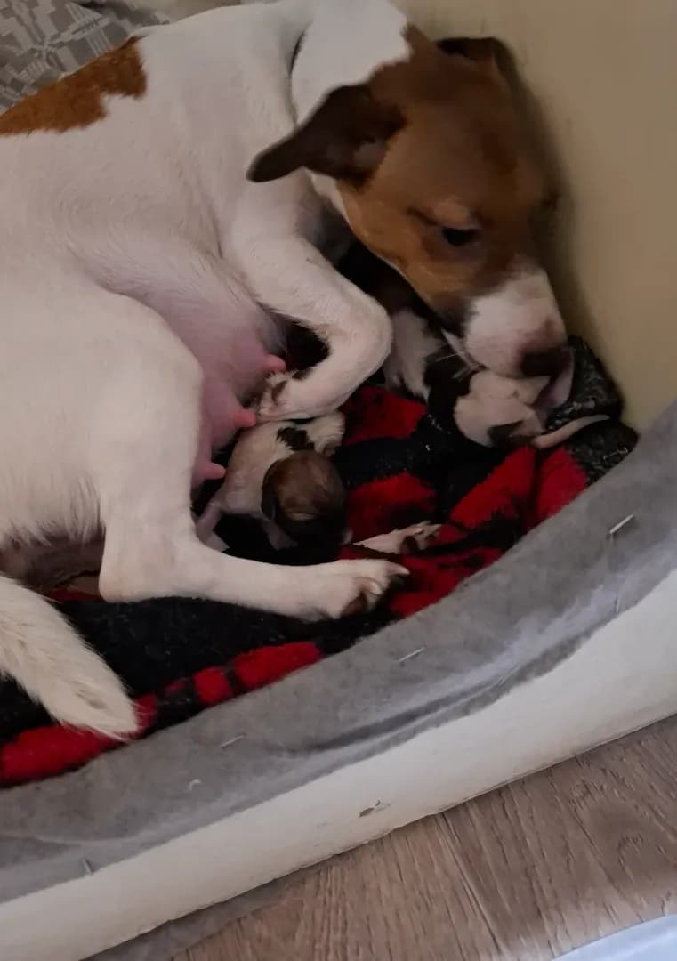 carousel-image-mobile-0