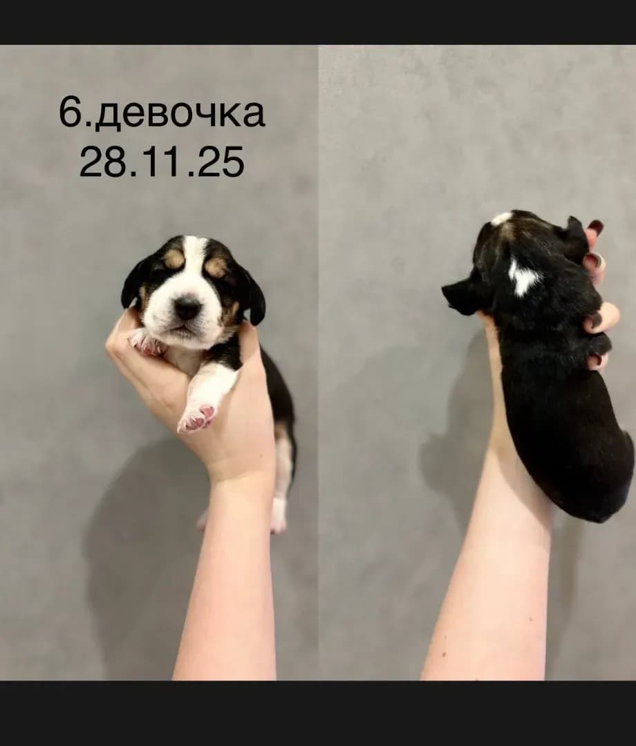 carousel-image-mobile-0