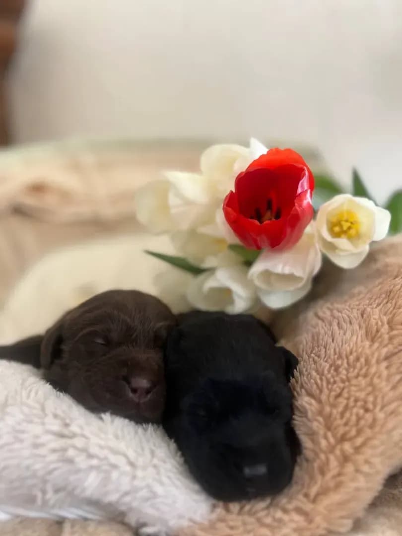 carousel-image-mobile-0