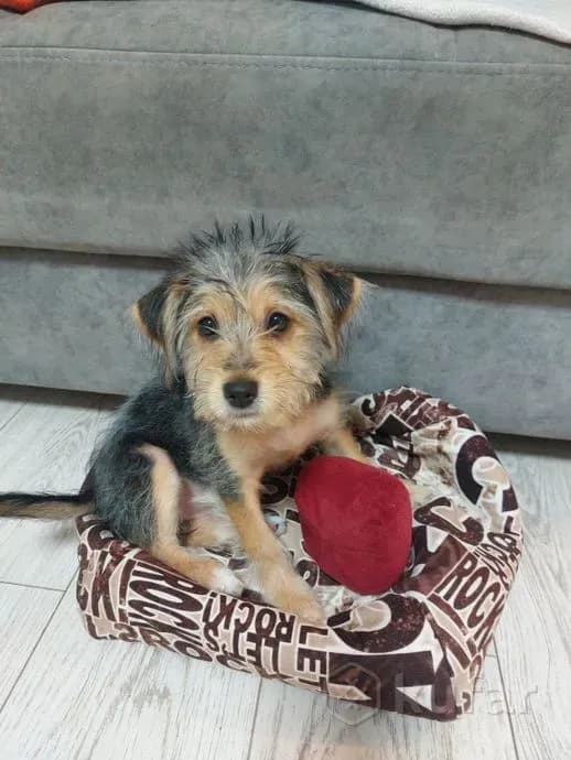 carousel-image-mobile-0