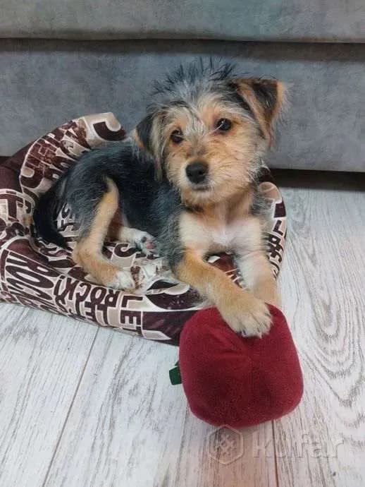 carousel-image-mobile-1