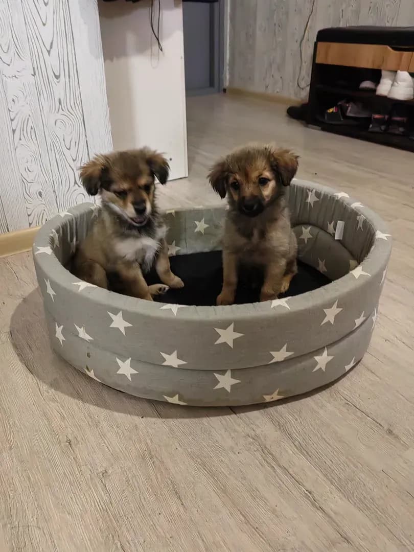 carousel-image-mobile-0