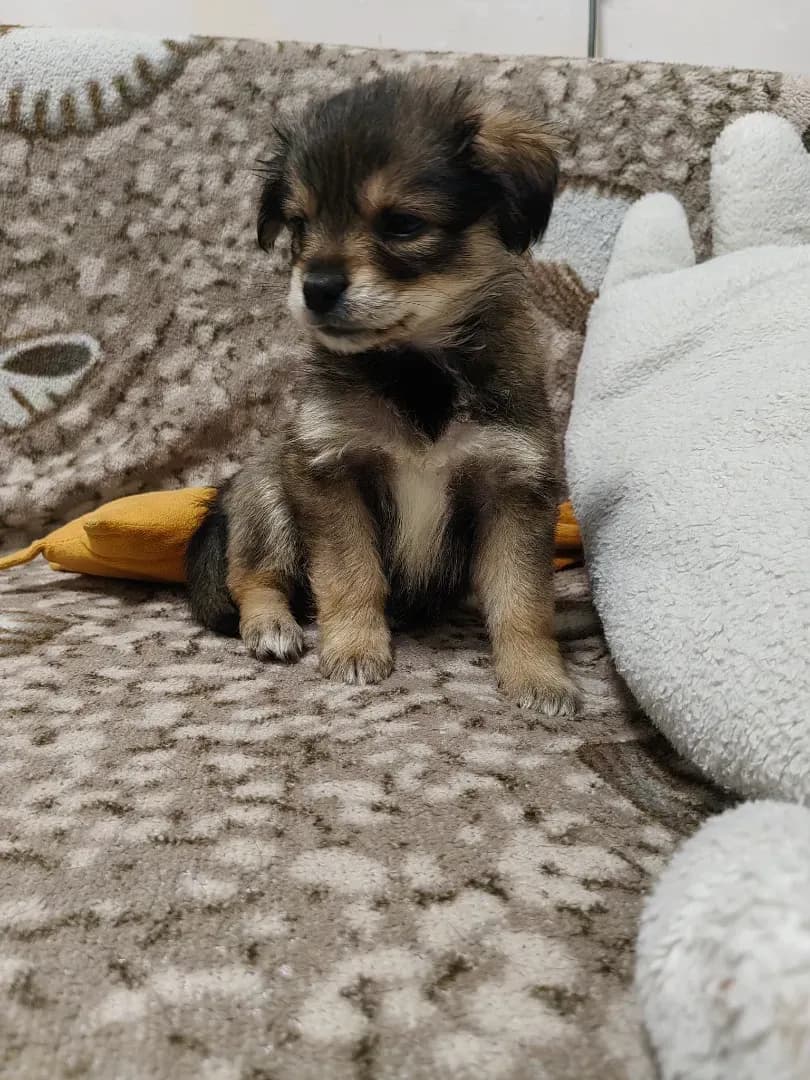 carousel-image-mobile-1