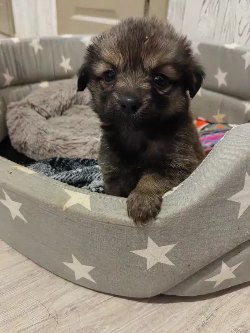 carousel-image-mobile-3