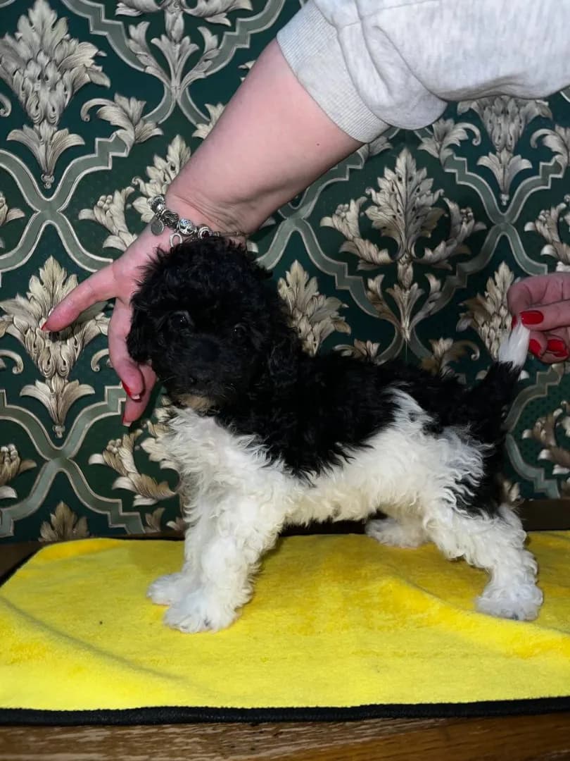 carousel-image-mobile-1