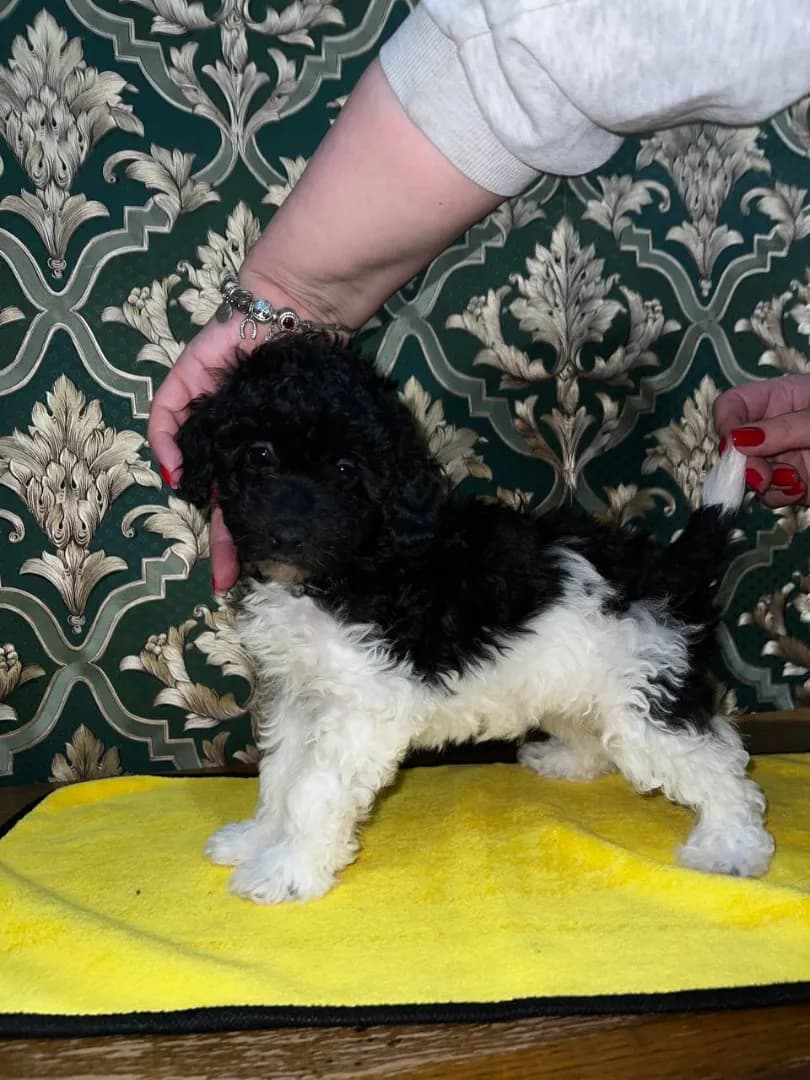 carousel-image-mobile-2