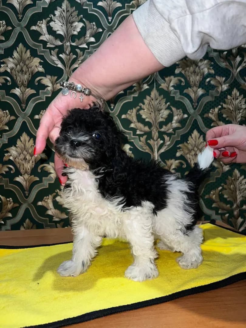 carousel-image-mobile-3