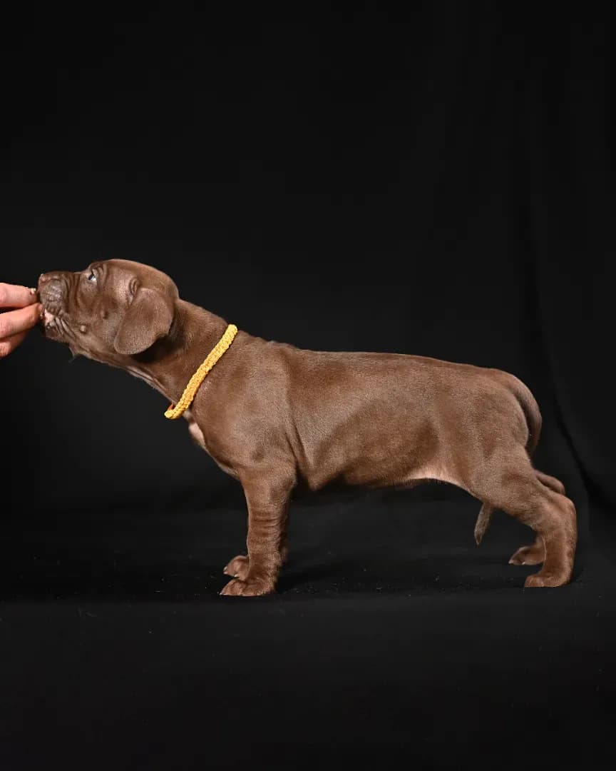 carousel-image-mobile-0