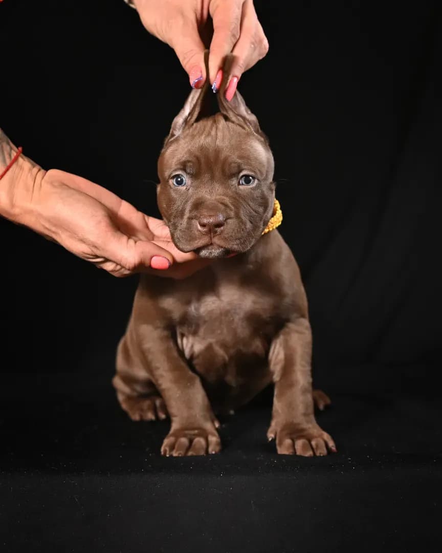 carousel-image-mobile-1