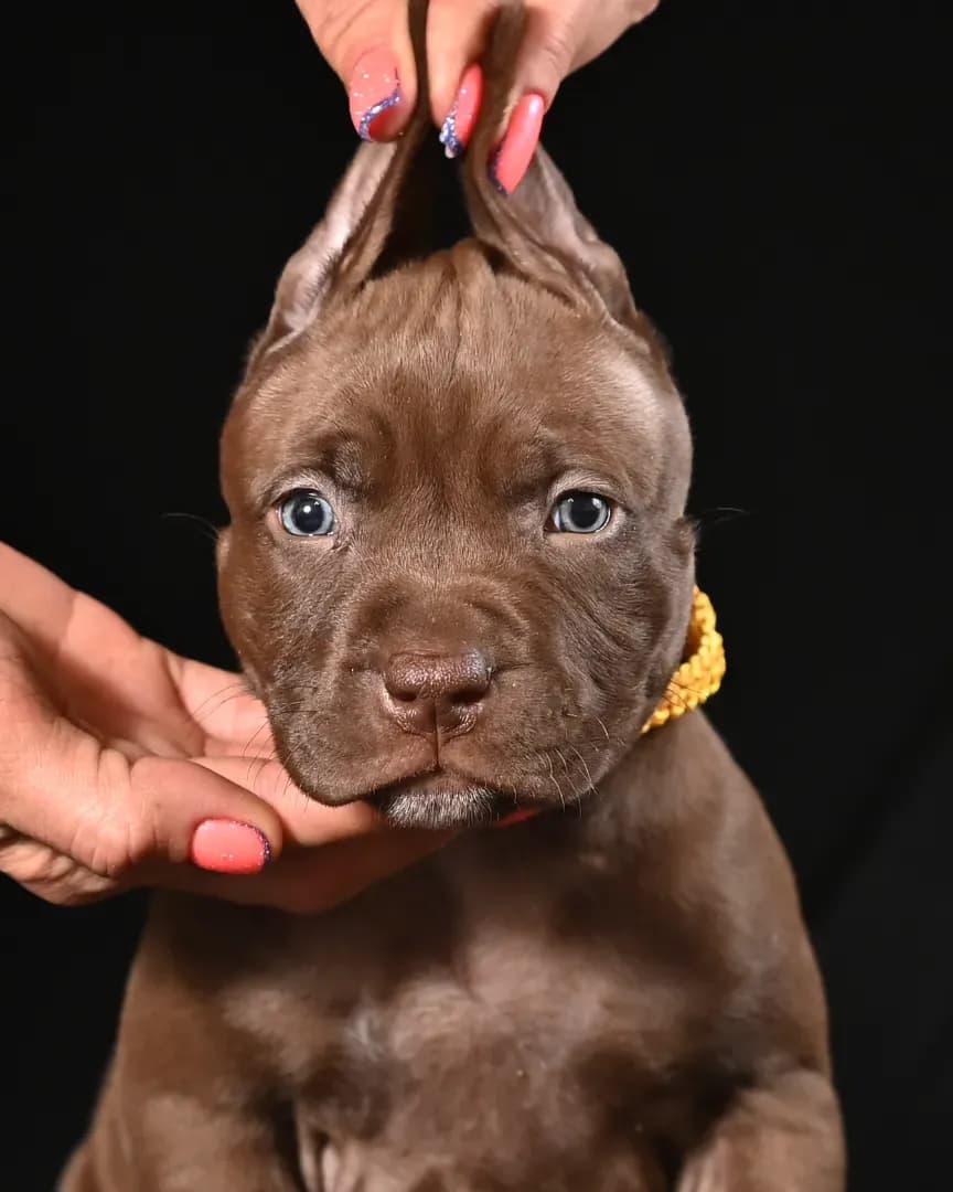 carousel-image-mobile-2