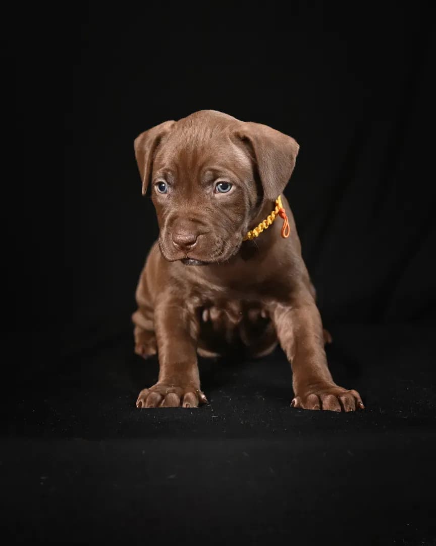 carousel-image-mobile-3