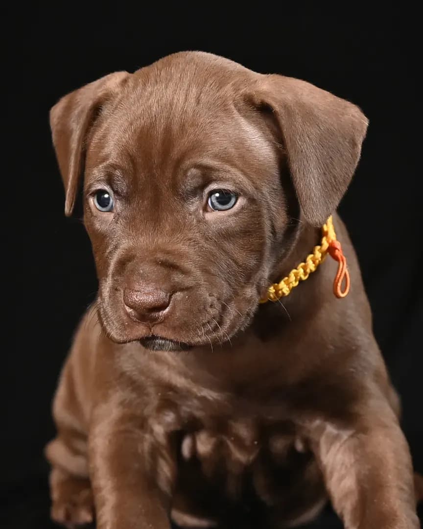 carousel-image-mobile-4