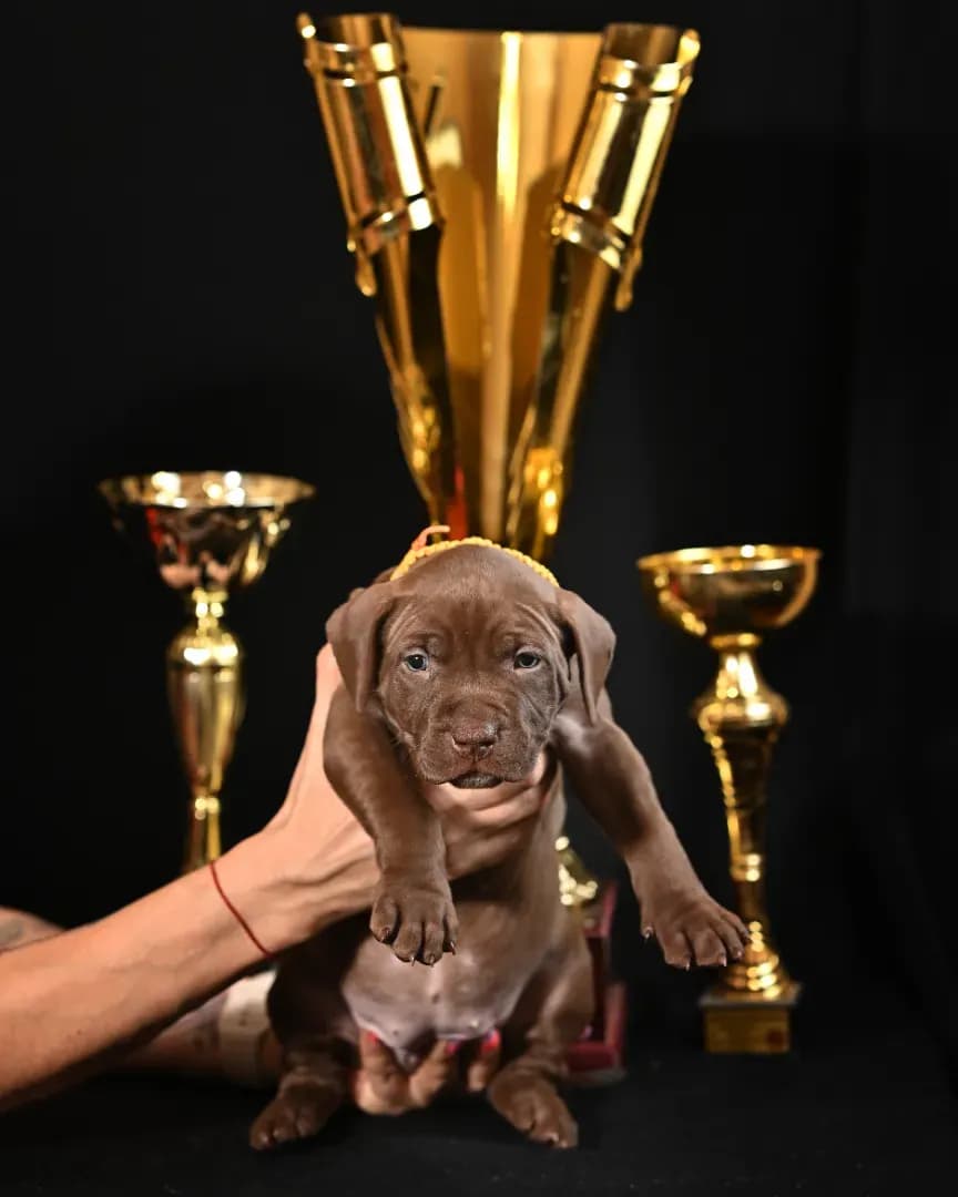 carousel-image-mobile-5