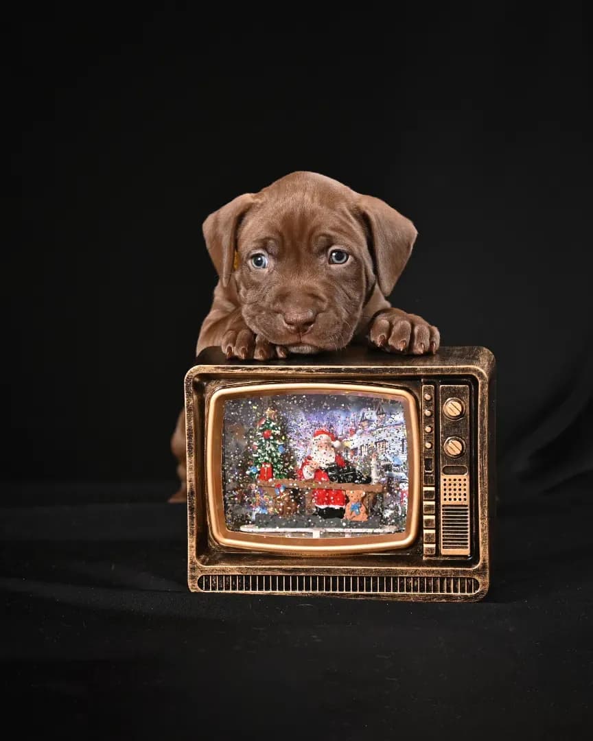 carousel-image-mobile-6