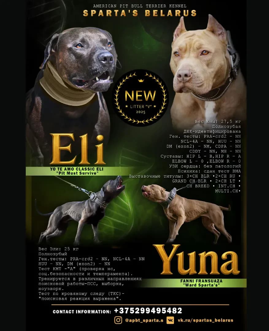 carousel-image-mobile-7