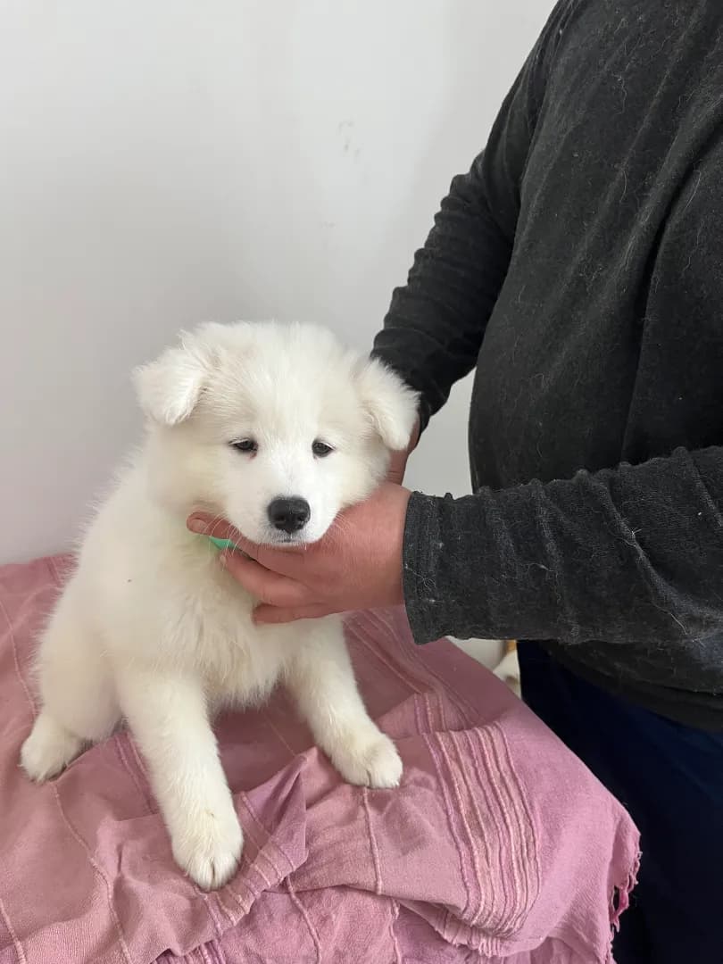 carousel-image-mobile-0