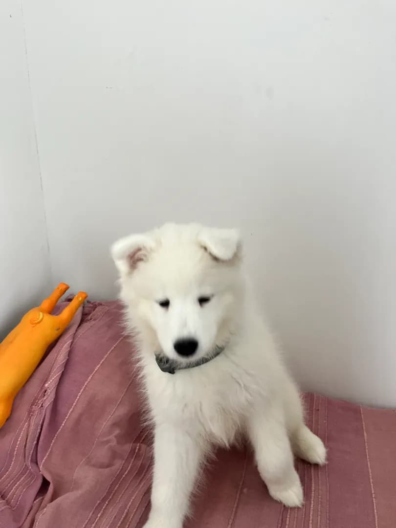 carousel-image-mobile-1